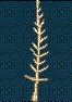 Handicraft2.jpg